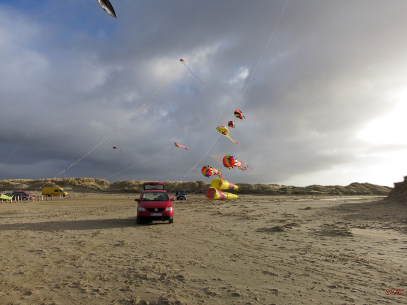 AWD_2014_013