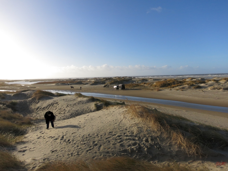 AWD_2014_018