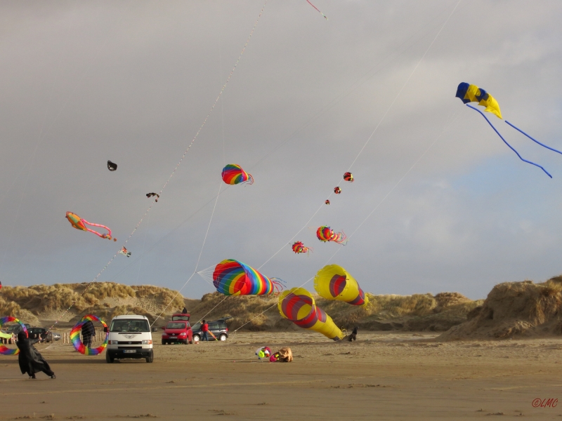 AWD_2014_023