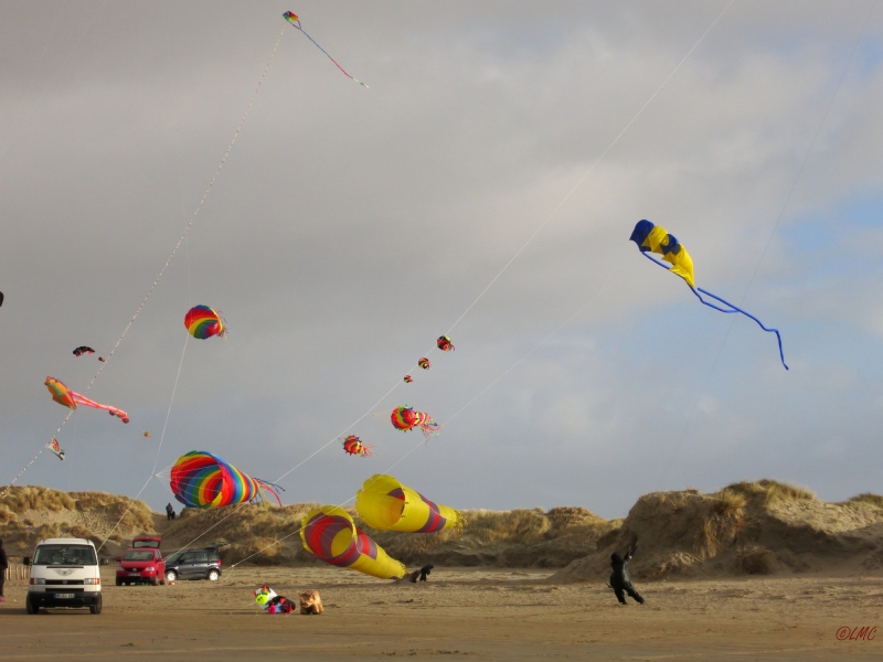 AWD_2014_024