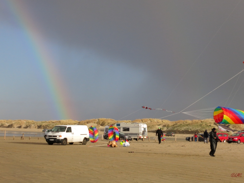 AWD_2014_029