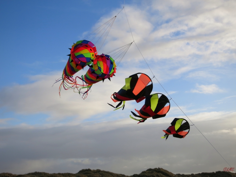 AWD_2014_032
