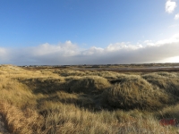 AWD_2014_016