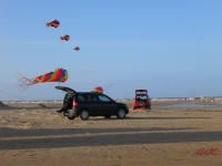 AWD_2014_022