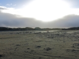 AWD_2014_008