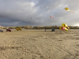 AWD_2014_011
