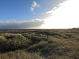 AWD_2014_017