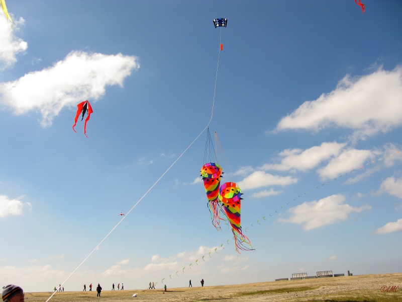 Buesum_2014_009