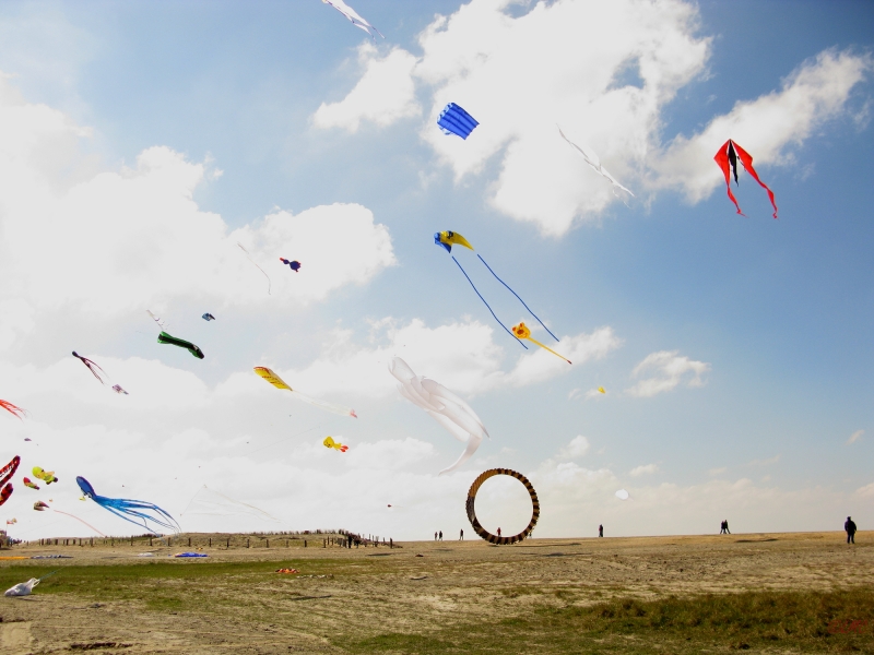 Buesum_2014_010