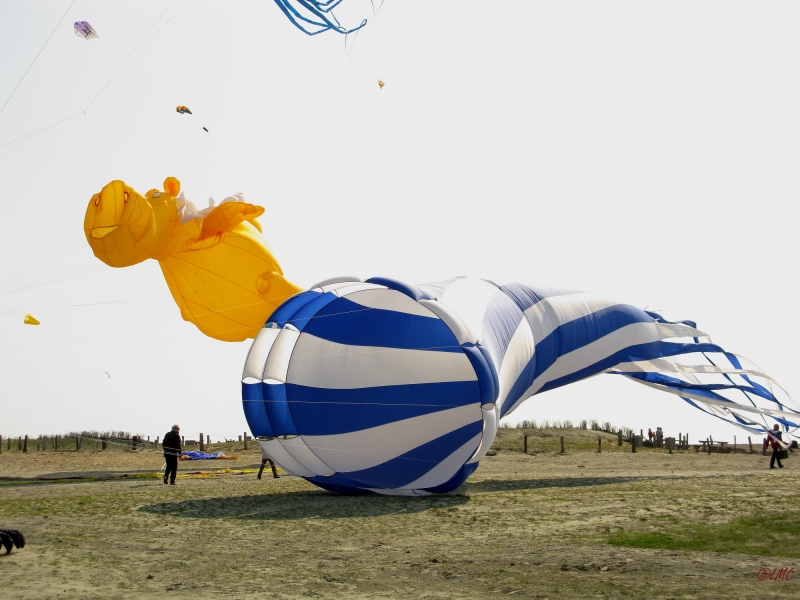 Buesum_2014_027