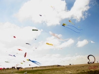 Buesum_2014_007