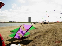 Buesum_2014_008