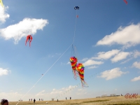 Buesum_2014_009
