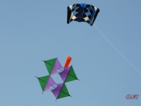 Buesum_2014_021