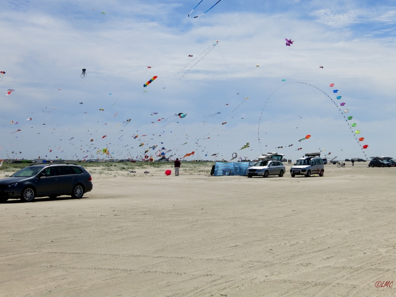 fanoe_2014_008