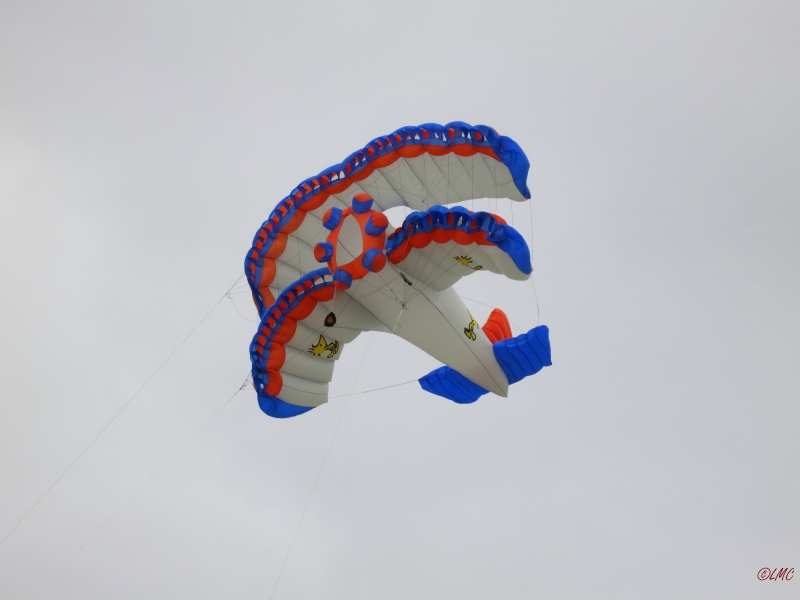 fanoe_2014_012