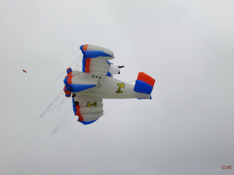 fanoe_2014_013