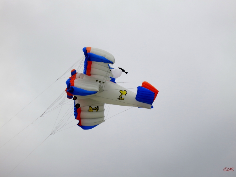 fanoe_2014_015