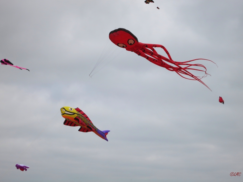 fanoe_2014_019