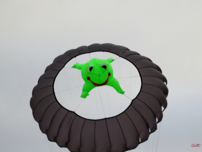 fanoe_2014_041