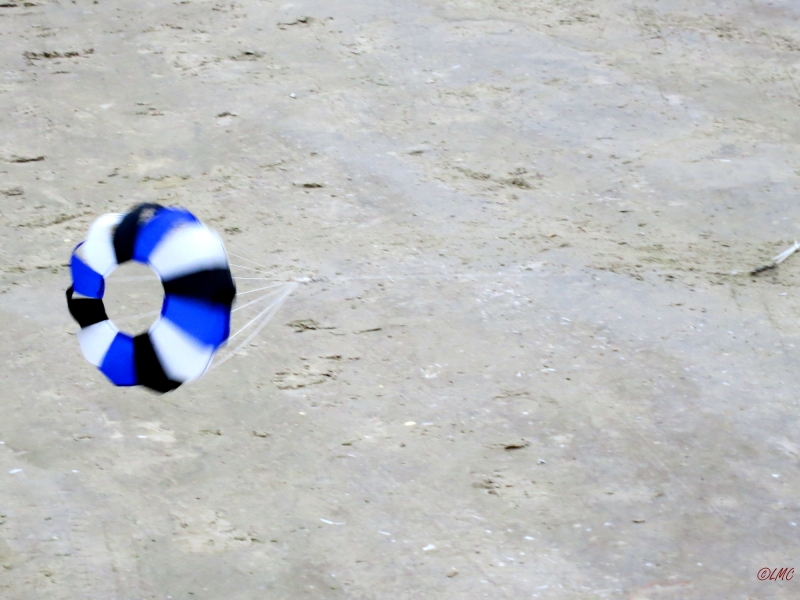 fanoe_2014_049