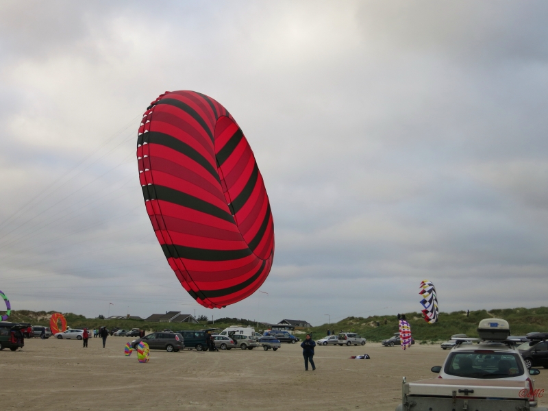 fanoe_2014_066
