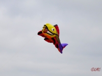 fanoe_2014_017