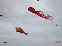 fanoe_2014_019