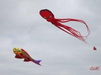 fanoe_2014_020