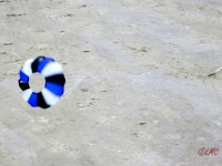 fanoe_2014_049