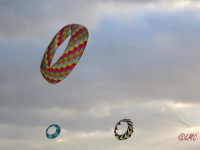 fanoe_2014_076