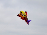 fanoe_2014_017