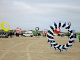 fanoe_2014_048