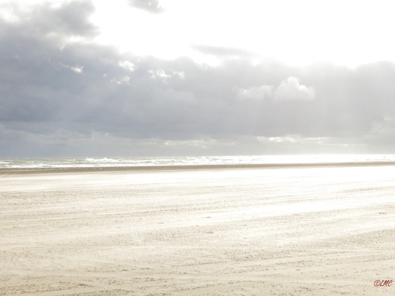 Fanoe_2014_115