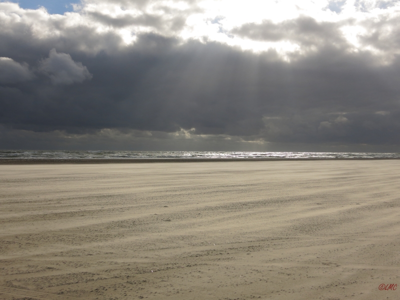 Fanoe_2014_118