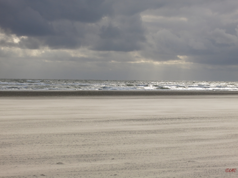 Fanoe_2014_119