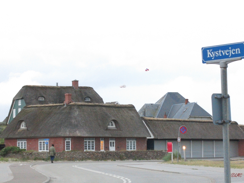Fanoe_2014_131