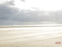 Fanoe_2014_115