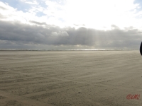 Fanoe_2014_116