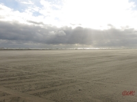 Fanoe_2014_117