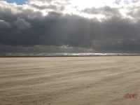 Fanoe_2014_118