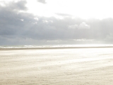 Fanoe_2014_115