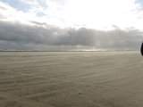 Fanoe_2014_116