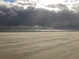 Fanoe_2014_118