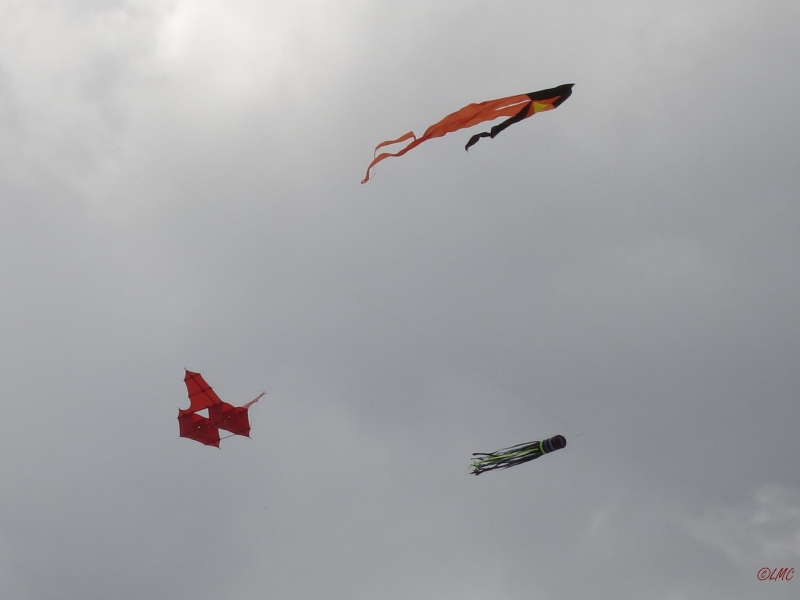 Fanoe_2014_142