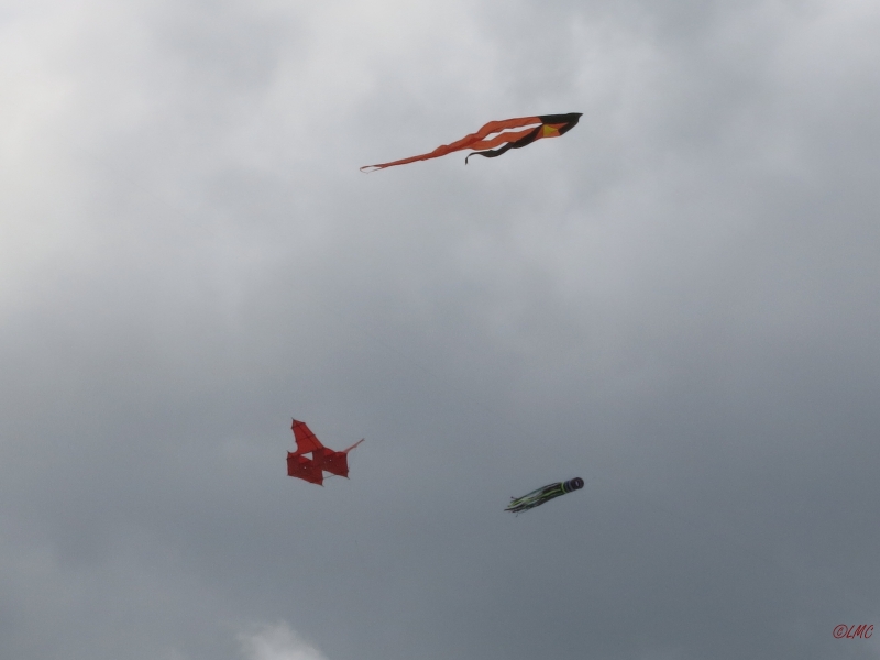 Fanoe_2014_143
