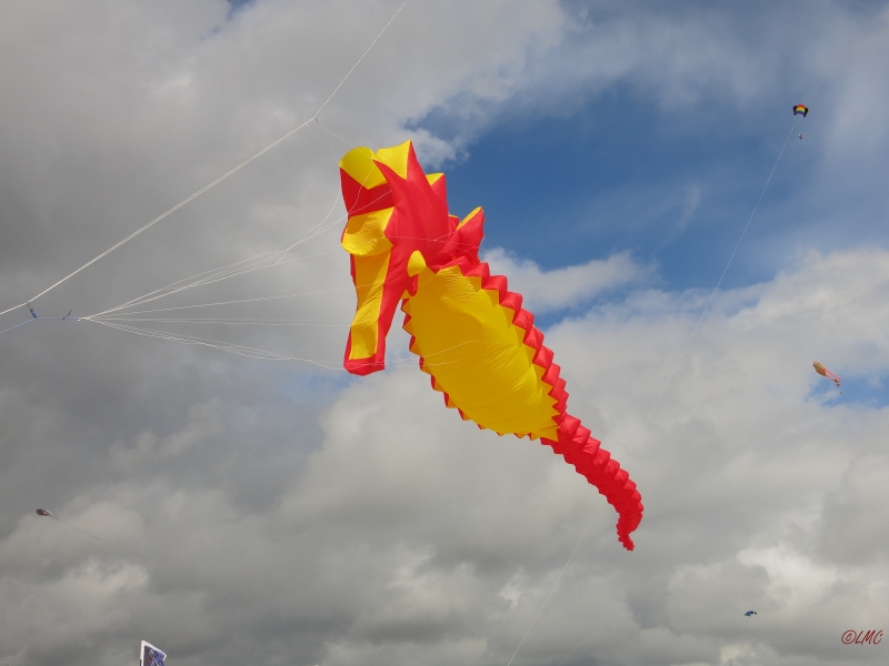 Fanoe_2014_157