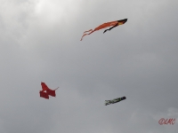 Fanoe_2014_142