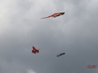 Fanoe_2014_143