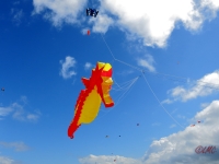 Fanoe_2014_147